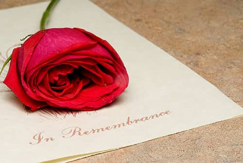 red-rose