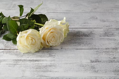 white-roses